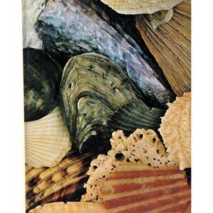 The Family Creative Workshop Volume 16 Sculptures to Silhouettes